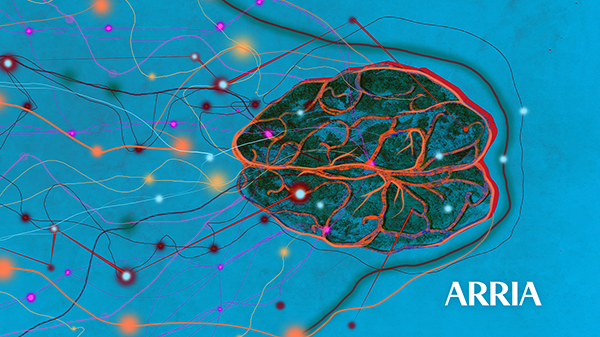 Image of a brain as composite intelligence