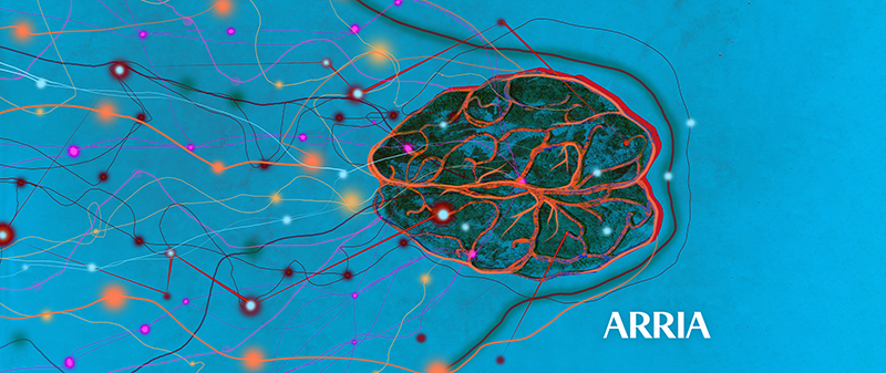 Image of a brain as composite intelligence